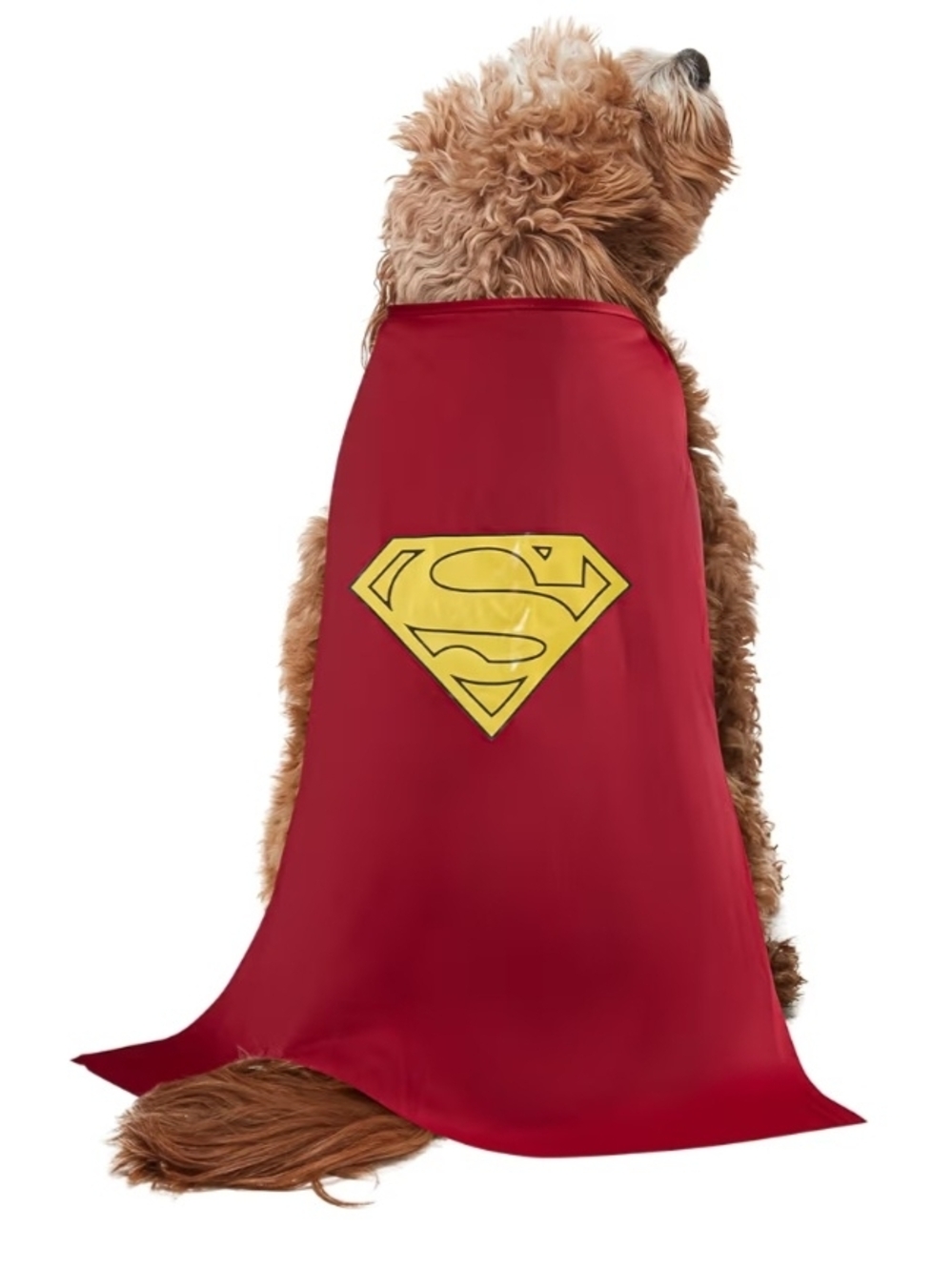 XL DC Superhero Dog Cape and Chest Piece in Red, Blue, Yellow - Picture 4 of 7